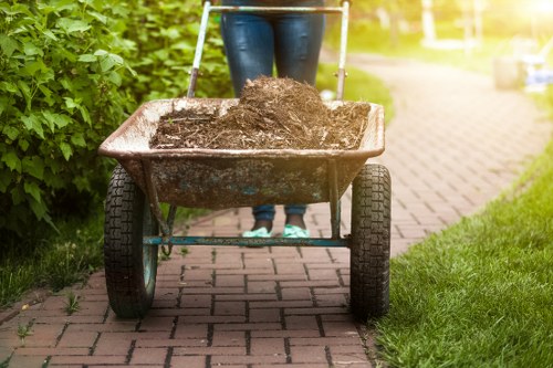 Choosing the right waste removal service