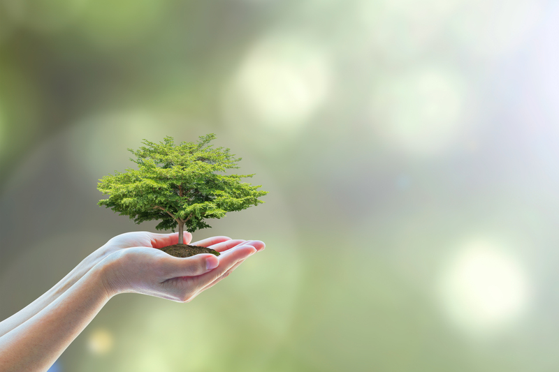 Switching to Green Packaging and Cardboard Disposal Methods